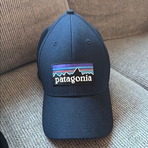 Patagonia Navy Blue Cap